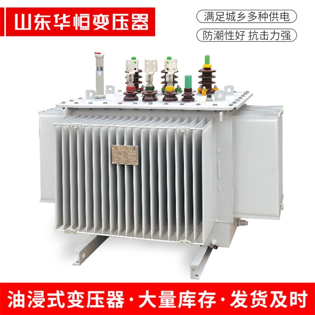 S13-10000/35阿拉善右阿拉善右阿拉善右电力变压器